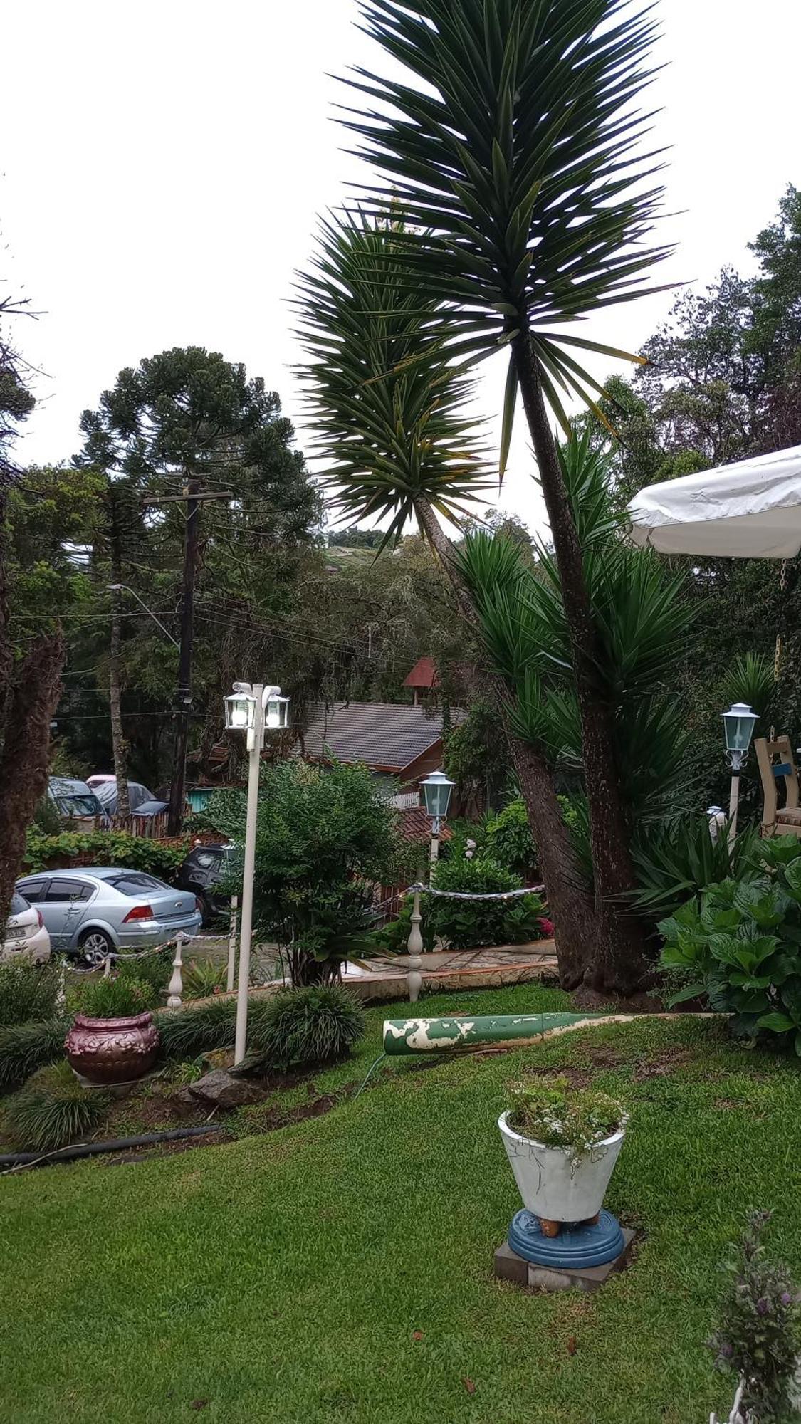 Rancho Da Raposa Hotel กังโปสดูจอร์เดา ภายนอก รูปภาพ